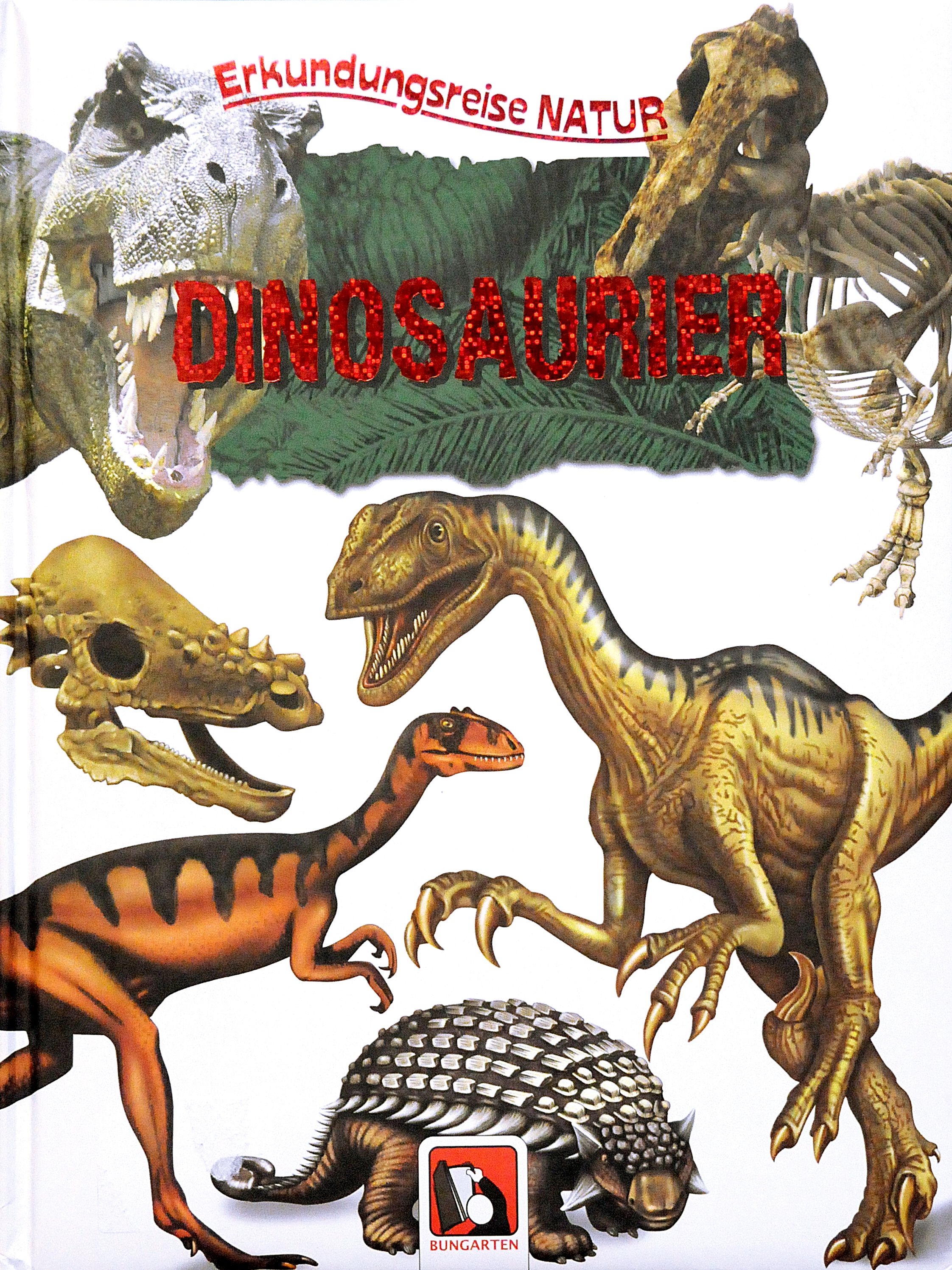 Erkundungsreise Natur Dinosaurier