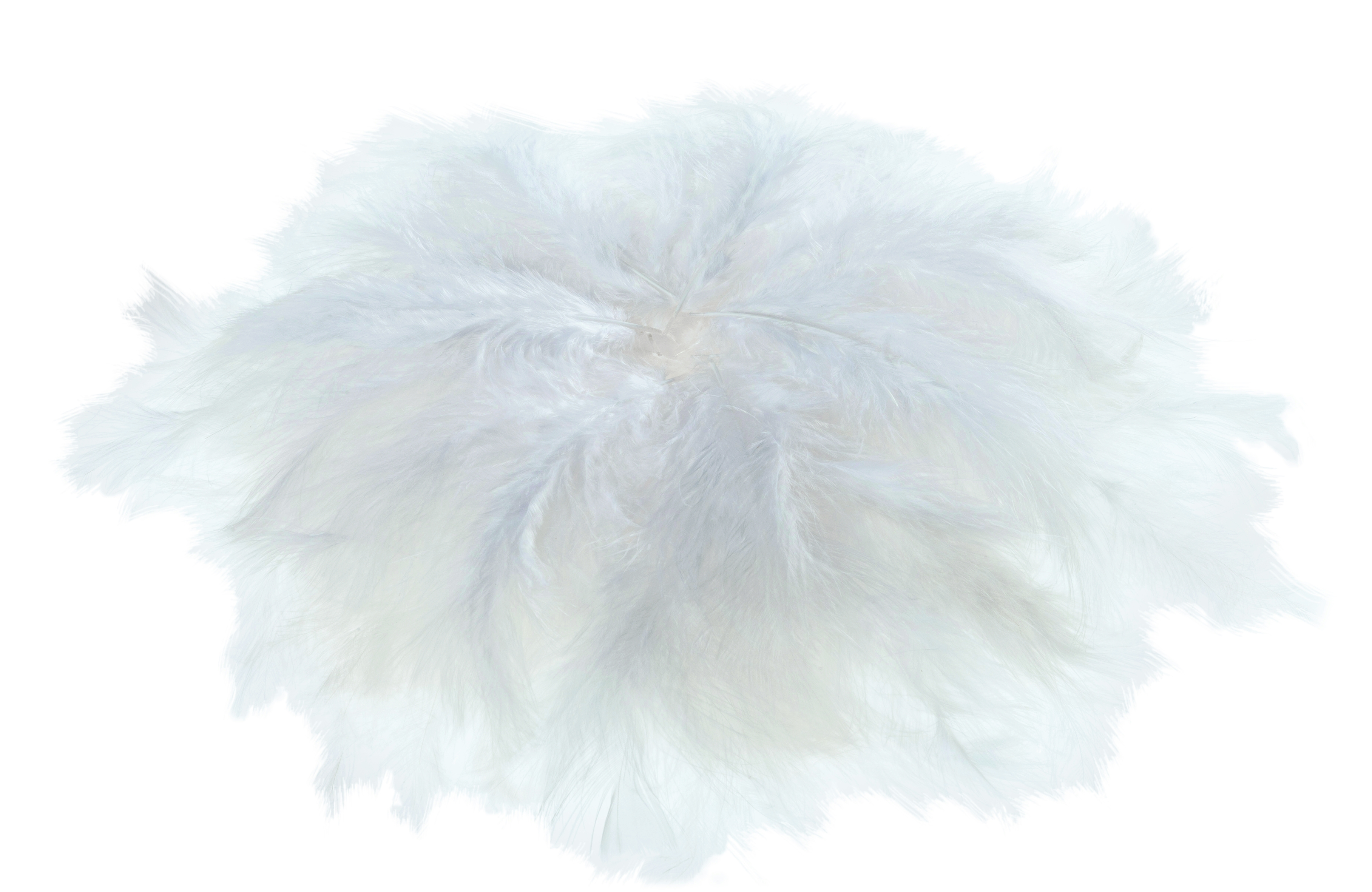 Flauschfedern weiß 100g