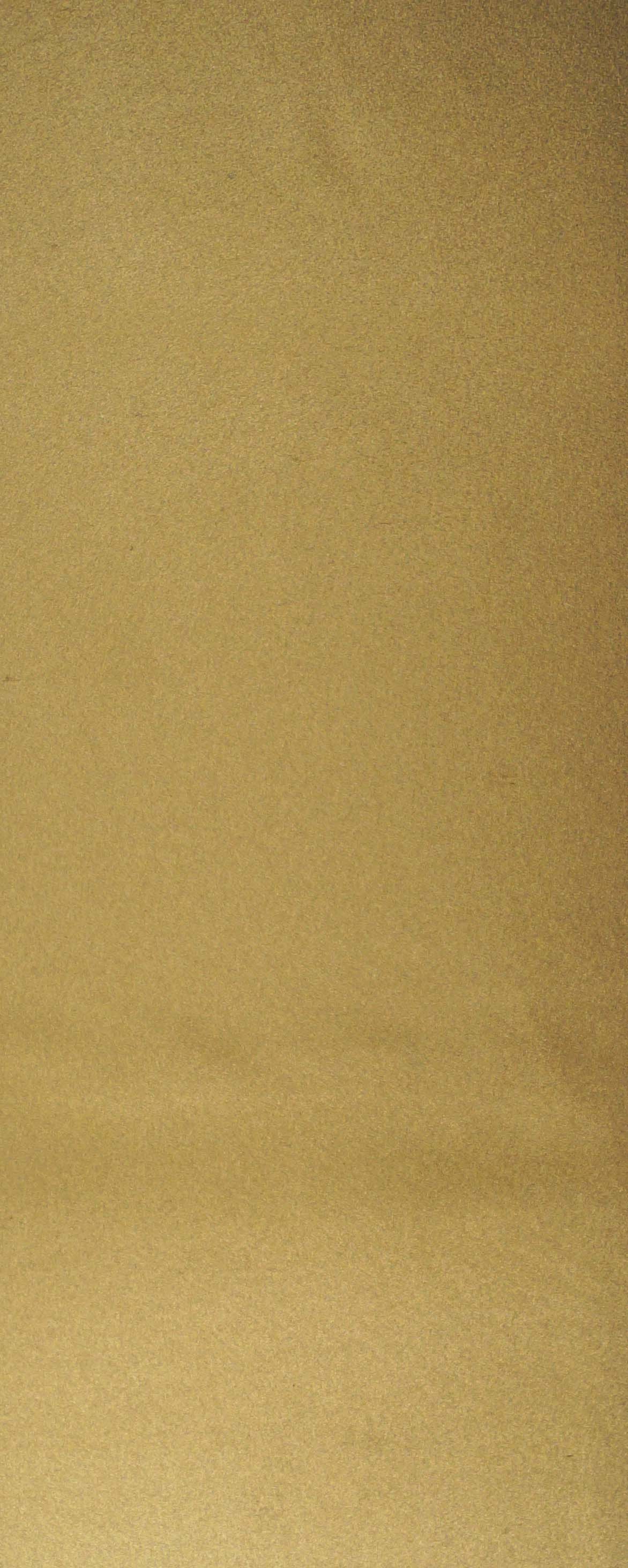 Verzierwachs,  225 x 90 mm