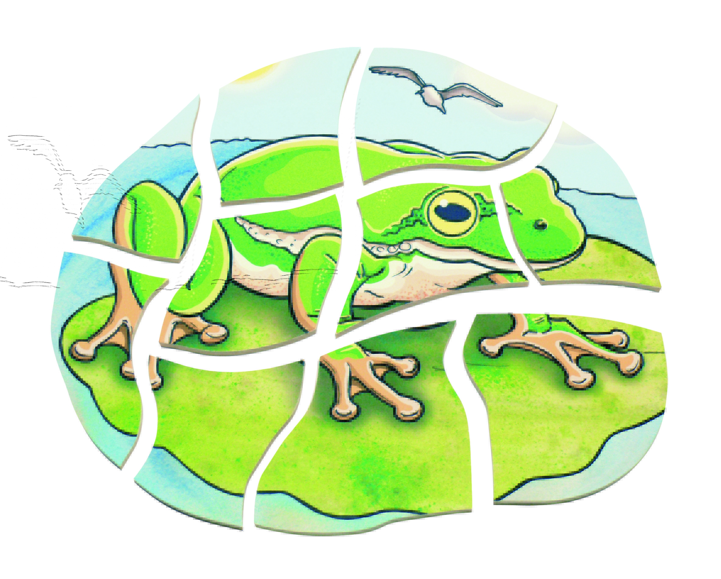 Lagen Puzzle Frosch Lagen Puzzle Frosch