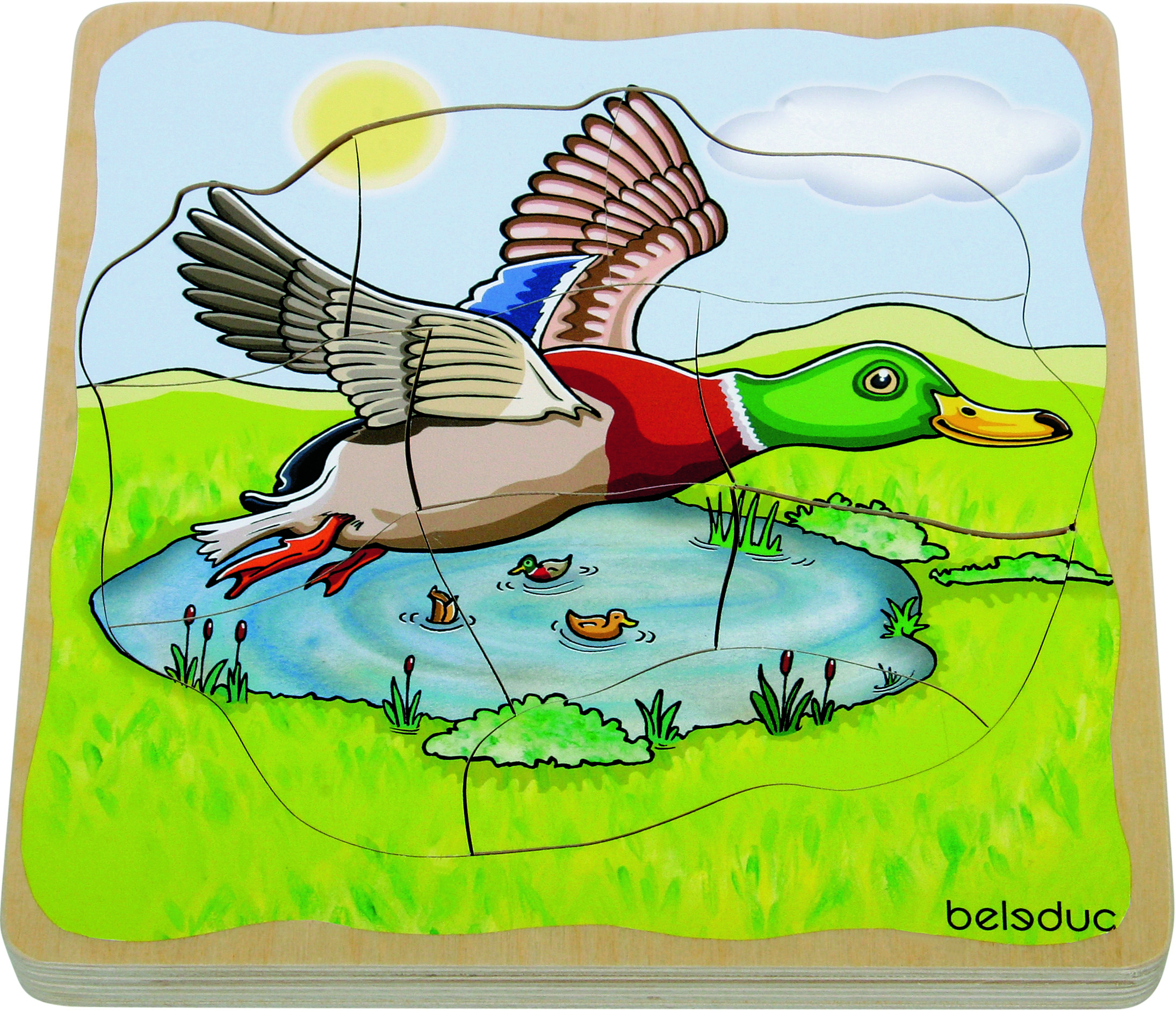 Lagen Puzzle Ente Lagen Puzzle Ente
