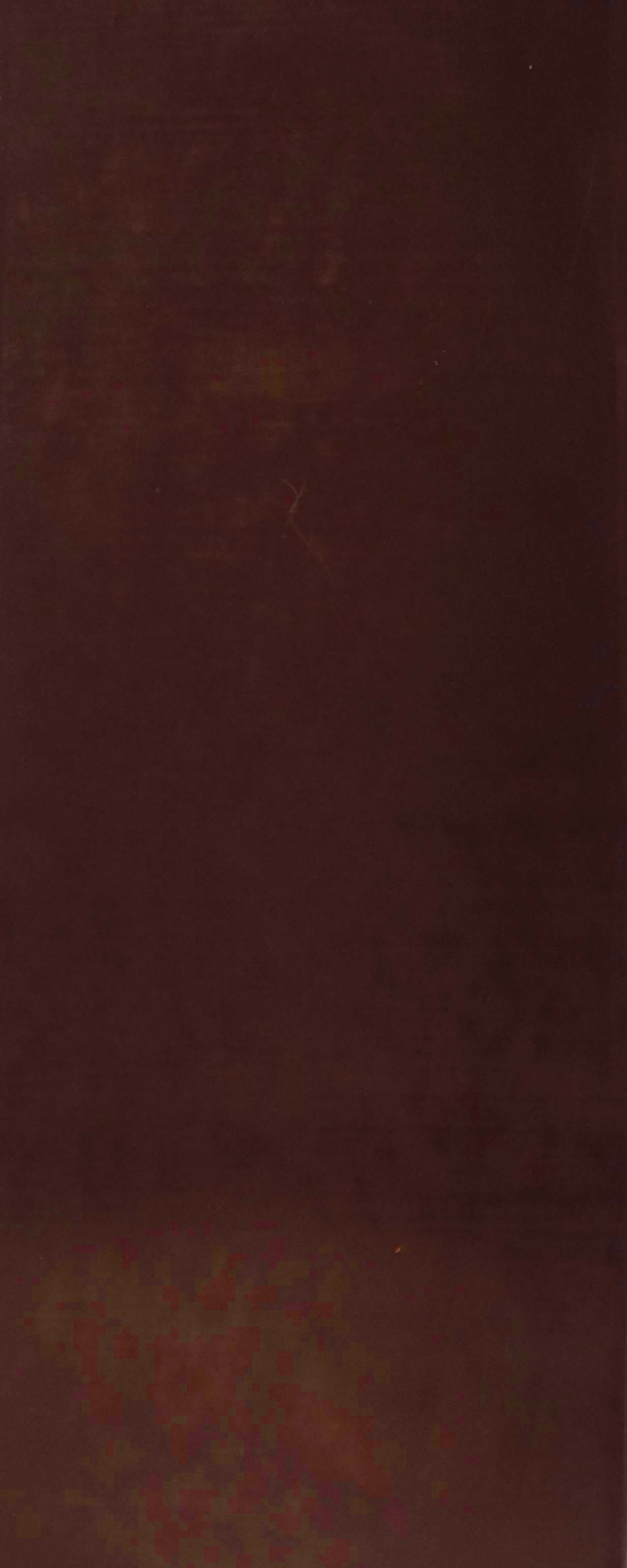 Verzierwachs,  225 x 90 mm