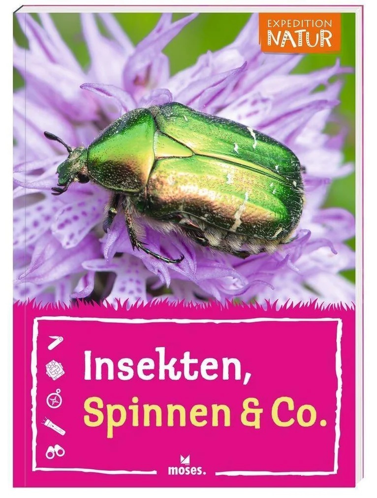 Insekten, Spinnen & Co